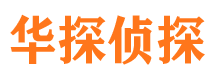 环县市私家侦探公司